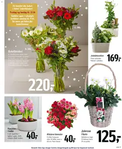 Føtex - Tilbudsavis gyldig fra 12.12.2025 | Side: 56 | Produkter: Kurv