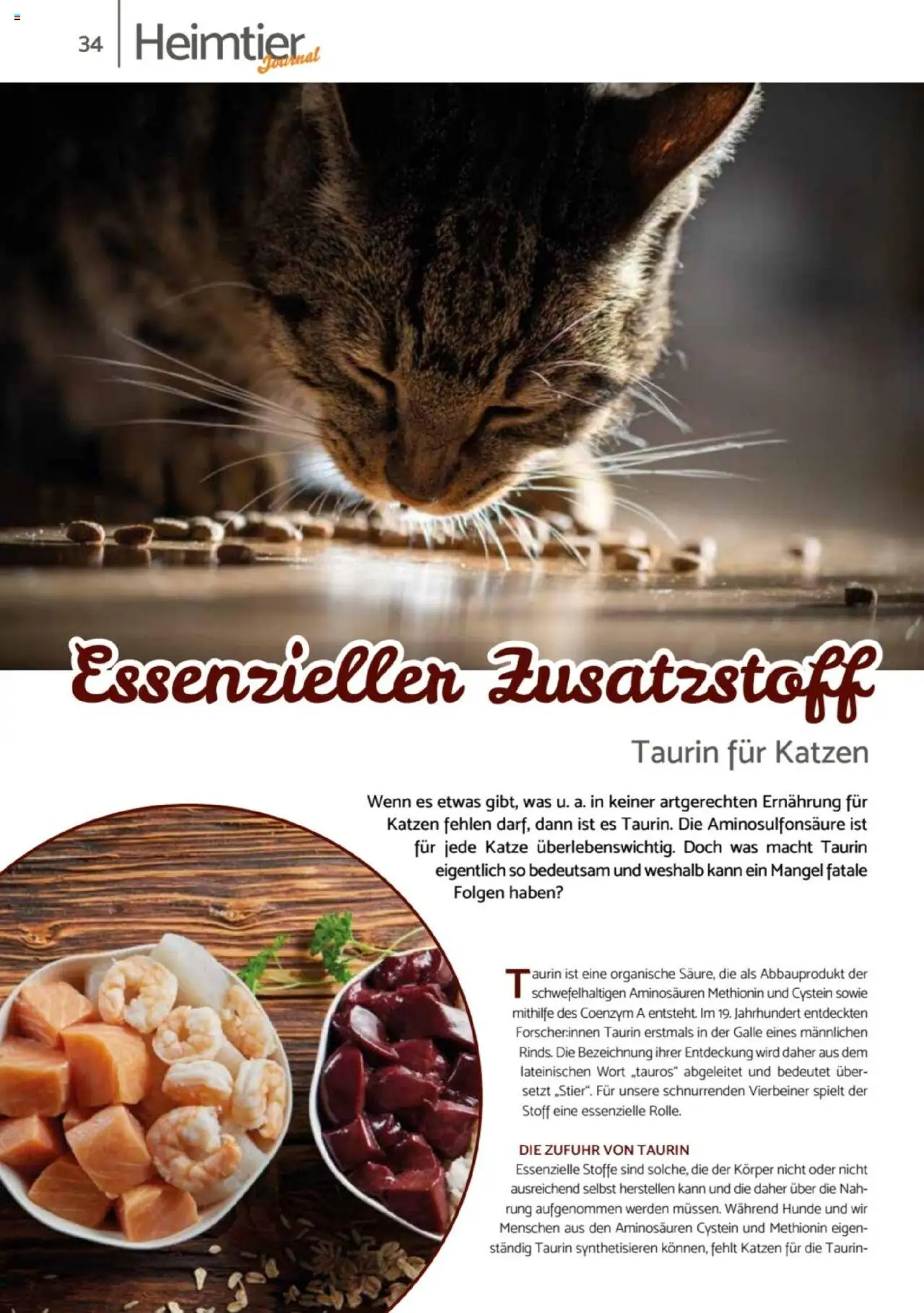 zookauf Heimtier Journal – gültig ab 01.10.2025 | Seite: 34