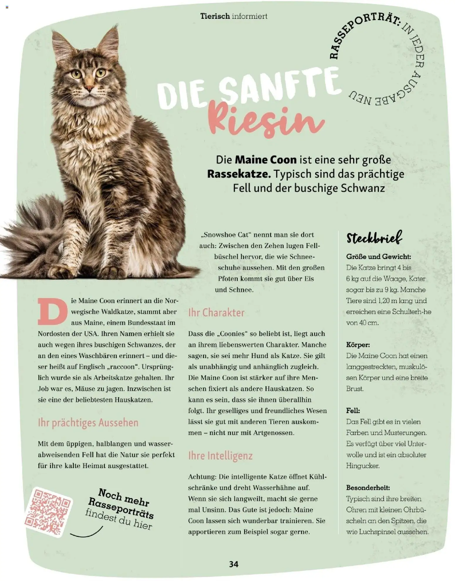 Fressnapf Friends 02/26 gültig ab 01.03.2026 | Seite: 34 | Produkte: Eis, Wasser, Gewicht