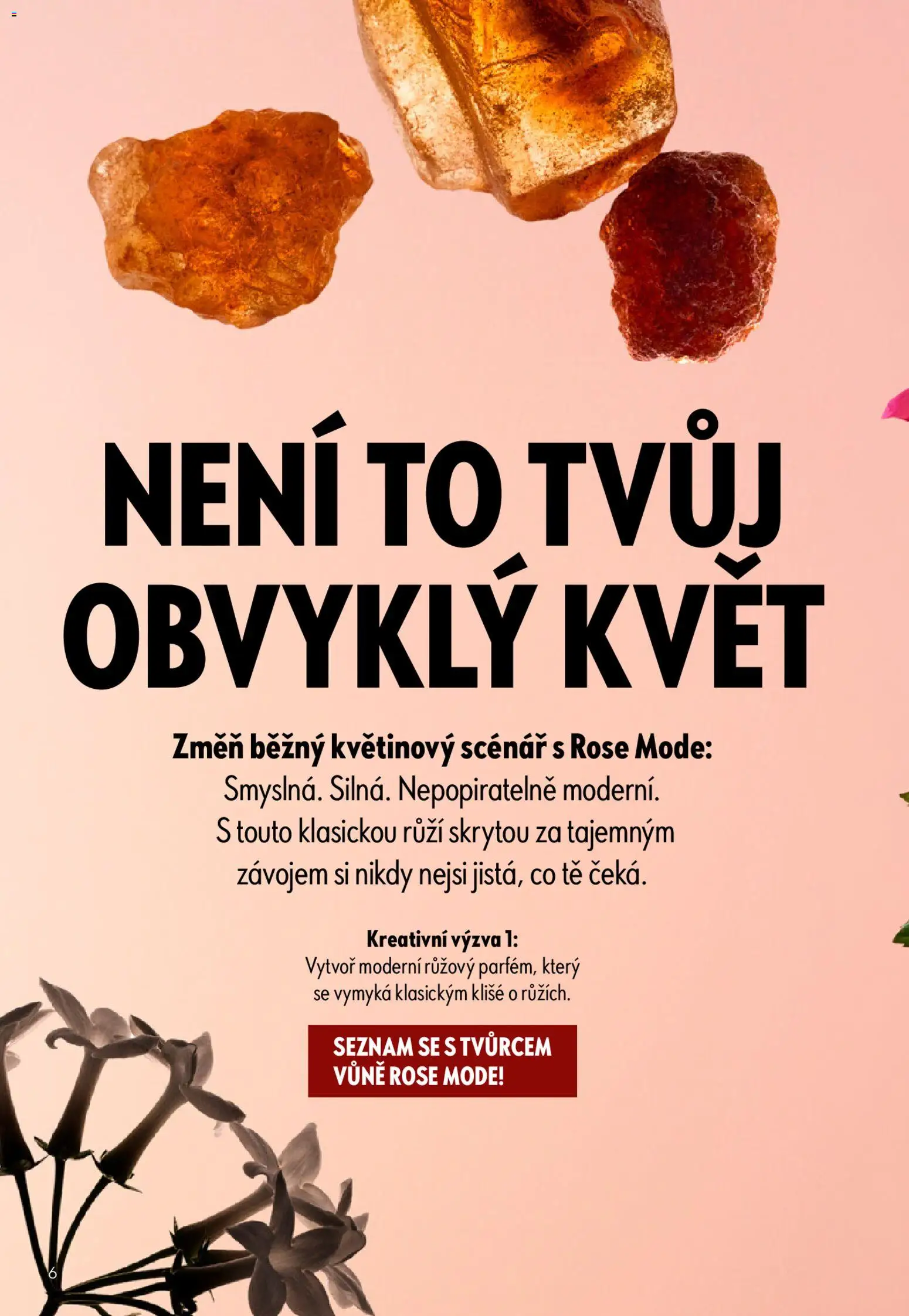 Oriflame katalog č. 06/2026 od 15.04.2026 | Strana: 6