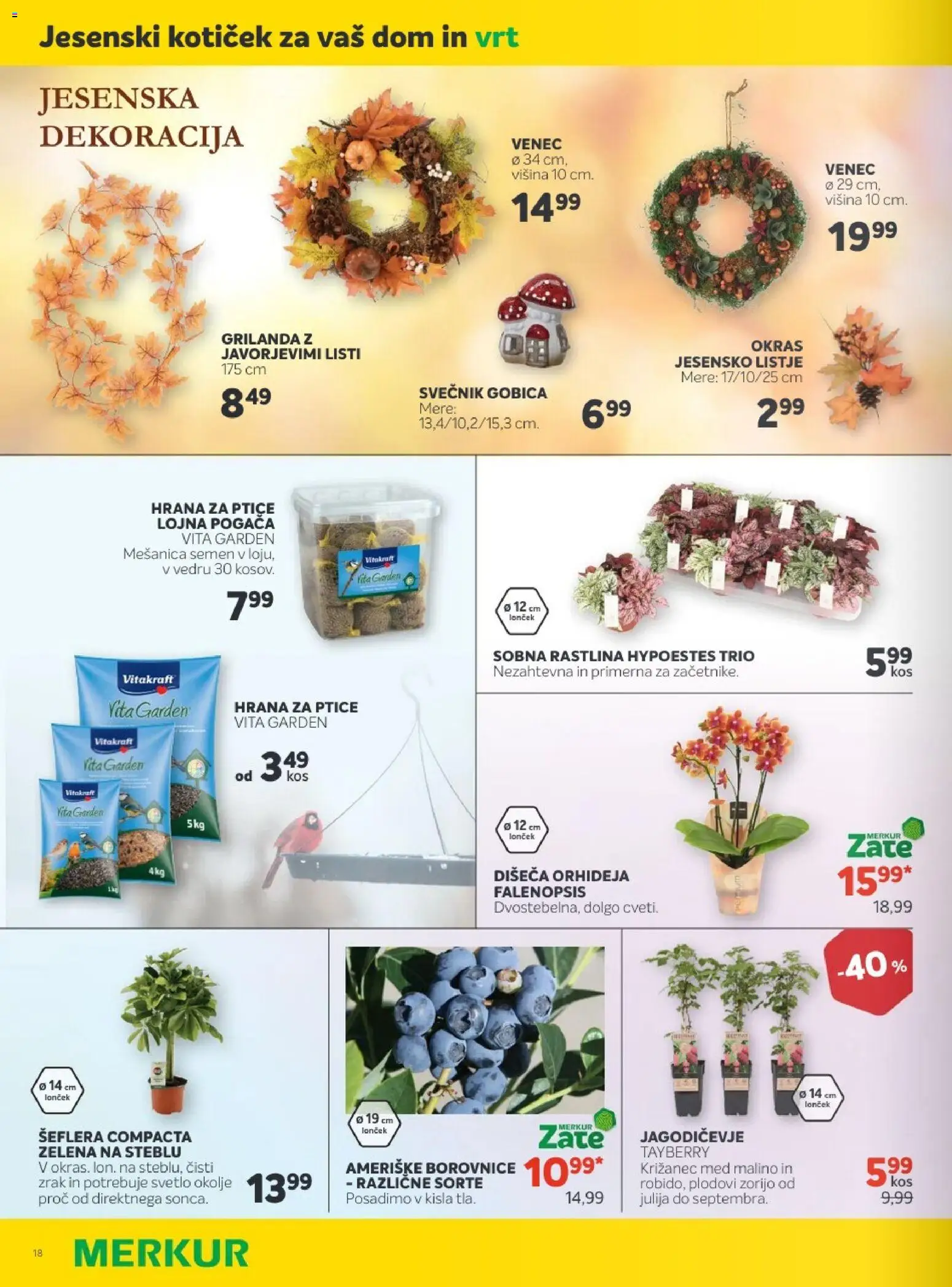 Novi Merkur katalog ponudbe – veljaven od 01.10.2025 | Stran: 40 | Izdelki: Svečnik, Kos, Borovnice, Zelena