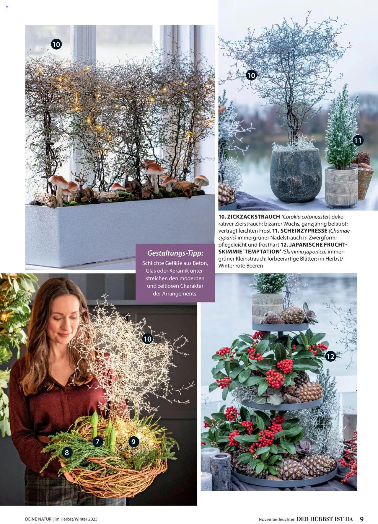 Dehner Prospekt Deine Natur – gültig ab 09.10.2025 | Seite: 9