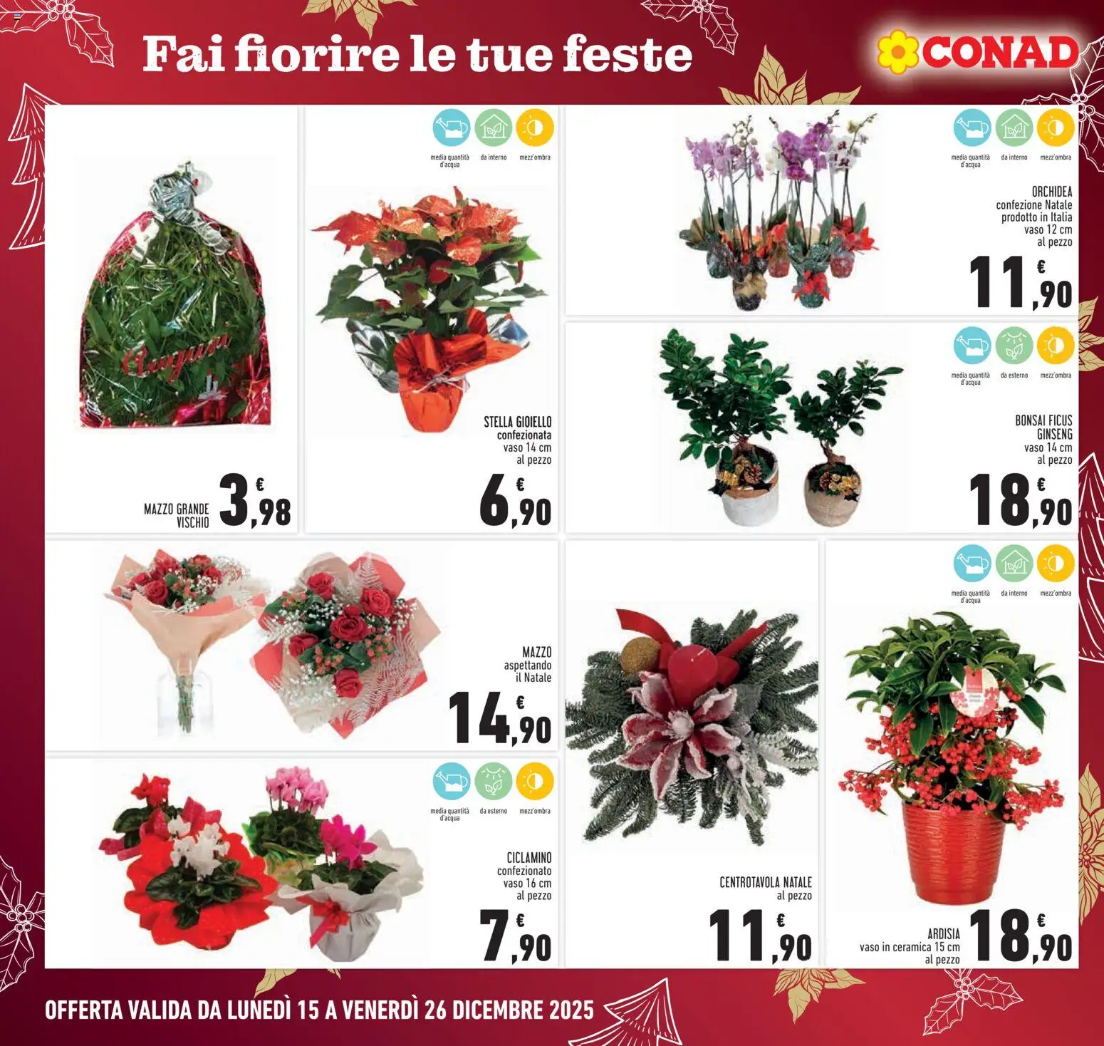 Volantino Conad del 15.12.2025 | Pagina: 6 | Prodotti: Orchidea, Vaso