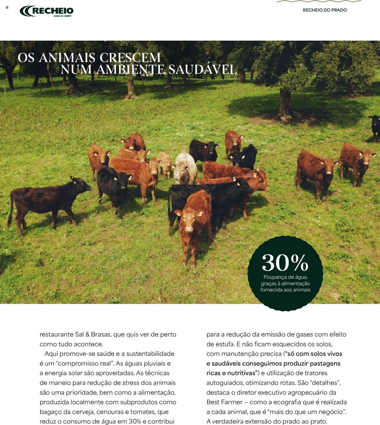 Recheio folheto │ válido de 24.04.2025 | Página: 10 | Produtos: Agua, Sal