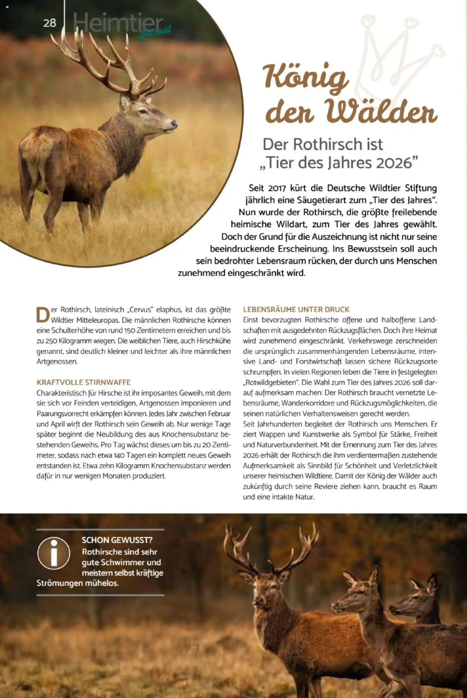 zookauf  Heimtier Journal – gültig ab 01.02.2026 | Seite: 28