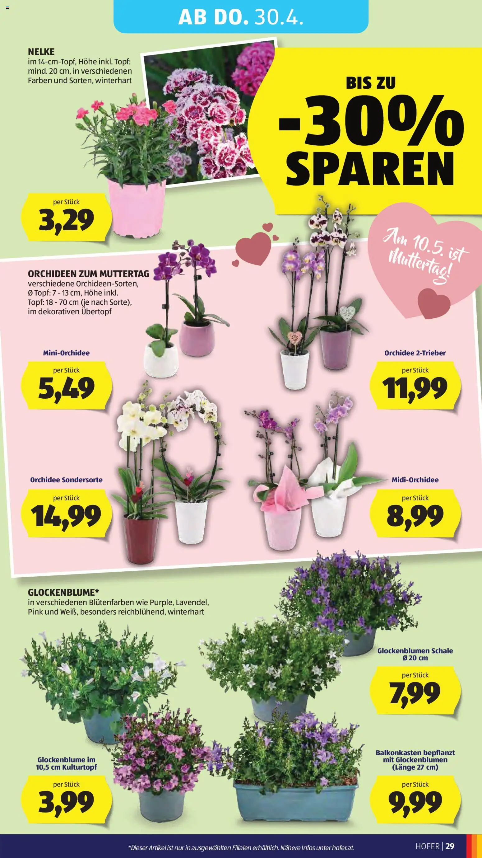 Hofer AT akciós ujság - amely érvényes a következő dátumtól: 24.04.2026 | Oldal: 33