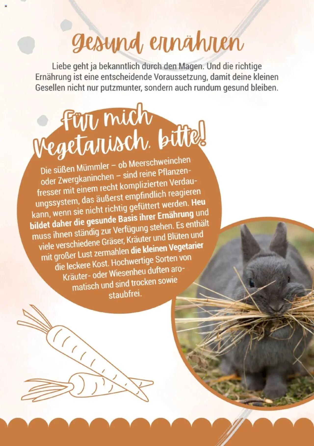 zookauf Kleintier Fibel - gültig ab dem 05.06.2025 | Seite: 8