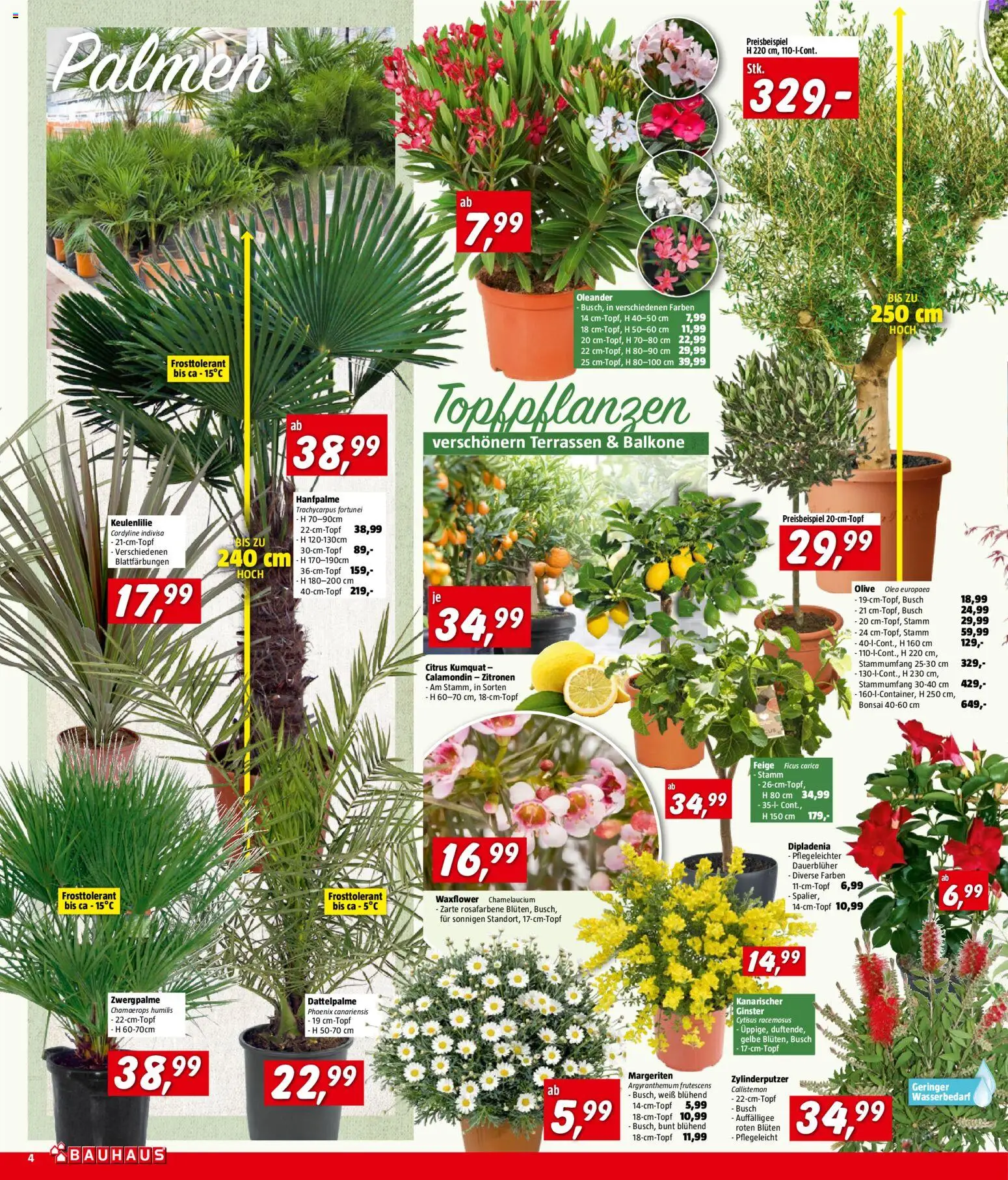 Bauhaus Prospekt aktuell gültig ab 01.04.2026 | Seite: 4