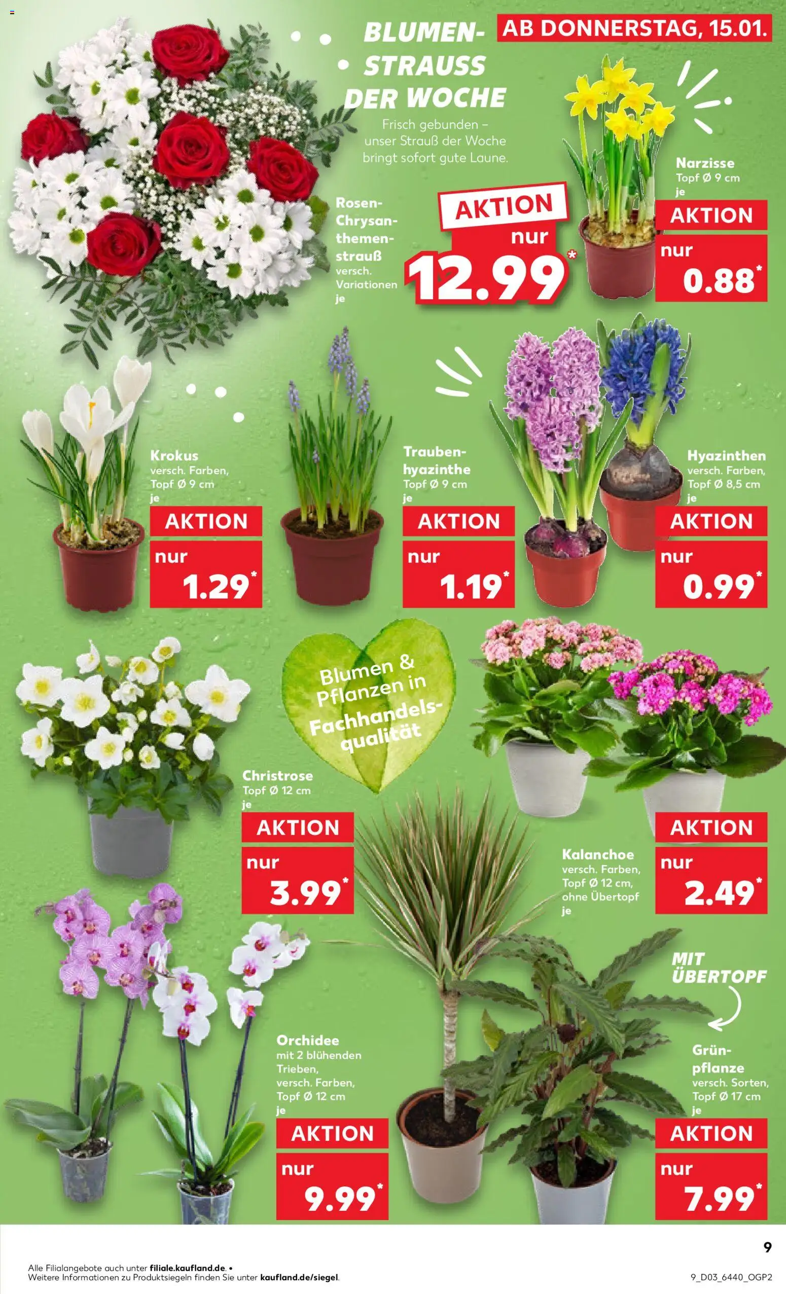 Kaufland prospekt Hannover	 – gültig ab 18.01.2026 | Seite: 9 | Produkte: Trauben, Orchidee, Blumen