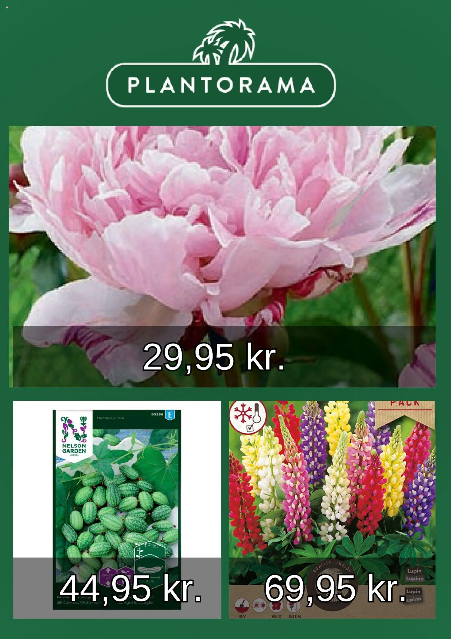 Plantorama tilbudsavis – gyldig fra 01.03.2026 | Side: 2