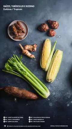 Pré-visualização Makro Especial Frutas e Verduras 2026 válido de 06.03.2026 | Página: 16