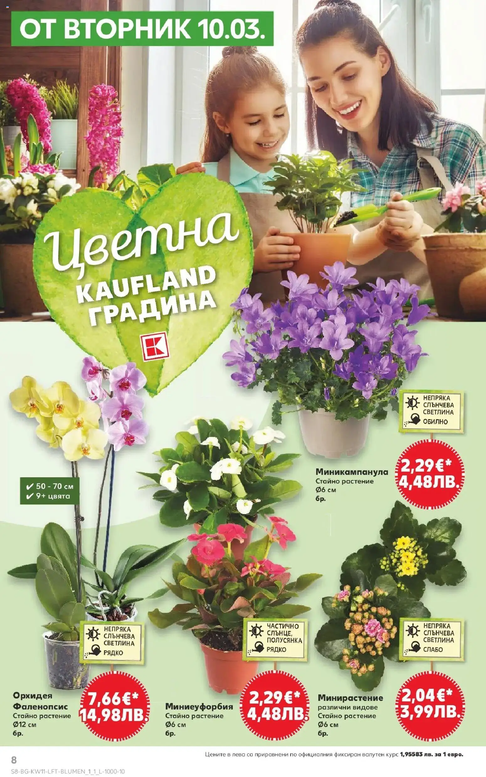 {H1} | Страница: 8 | Продукти: Орхидея