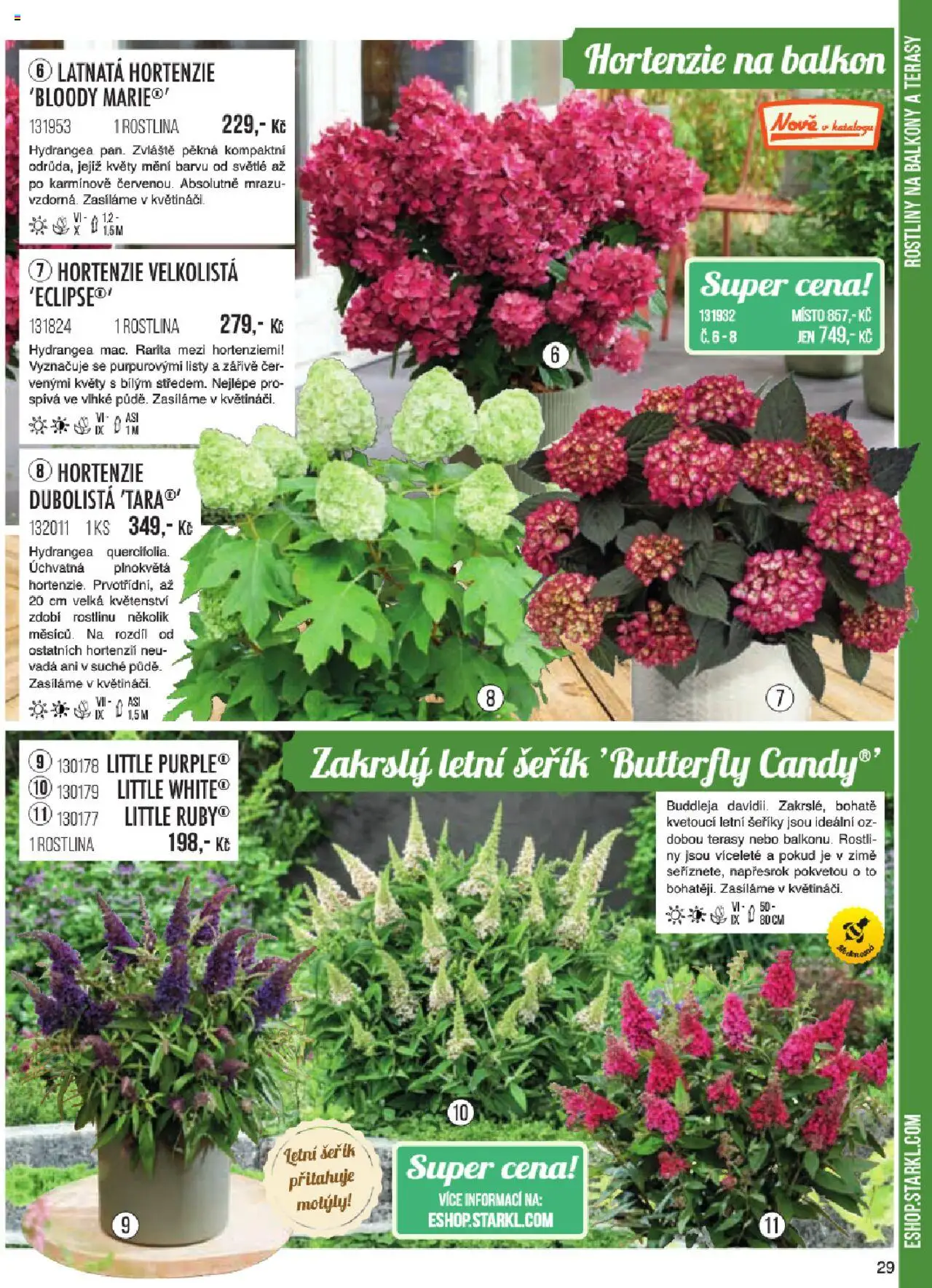 Starkl katalog jaro 2024 od 06.01.2025 | Strana: 29 | Produkty: Rostliny