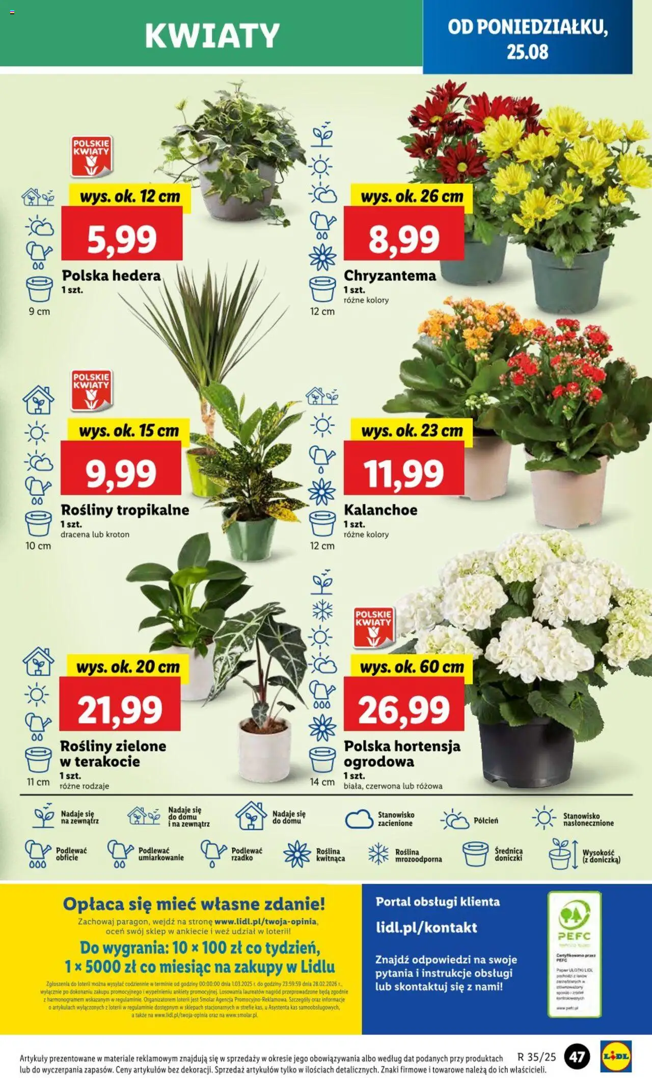 Lidl Gazetka od 25.08.2025 | Strona: 53