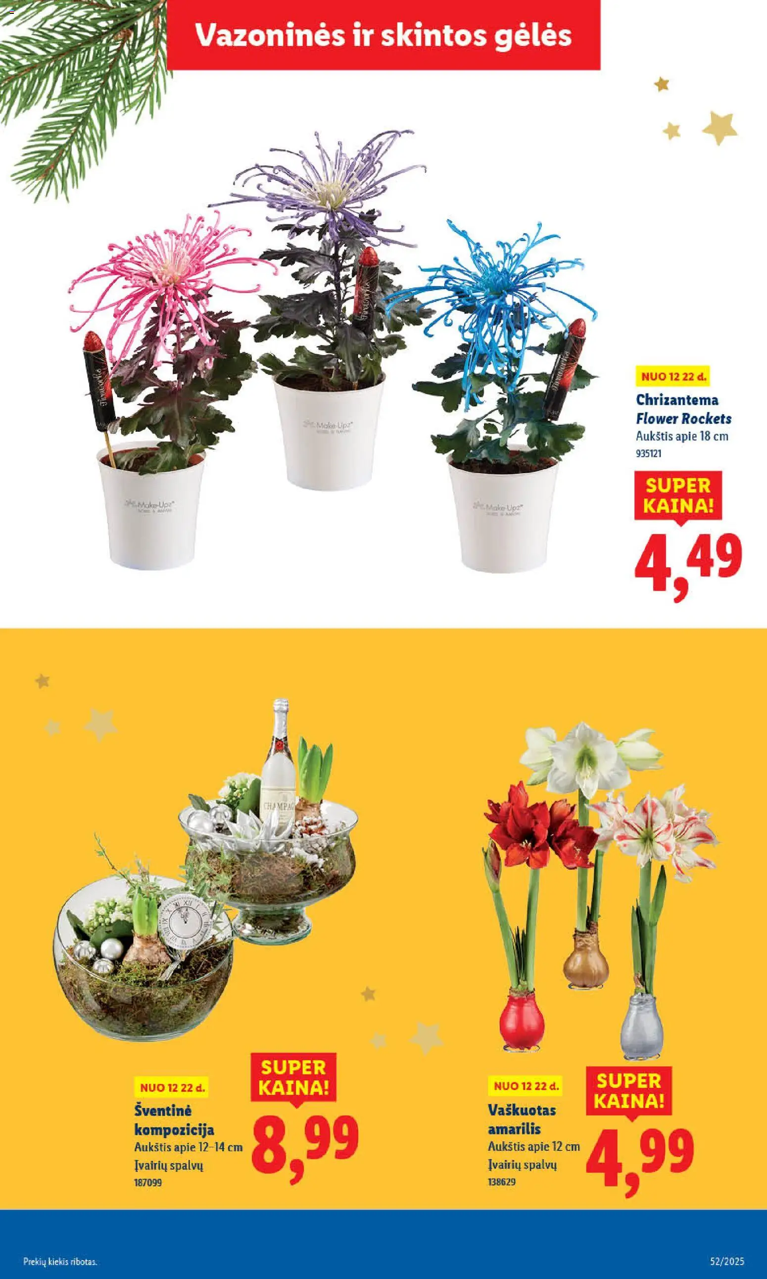 LIDL akcijos nuo 26.12.2025 | Puslapis: 14