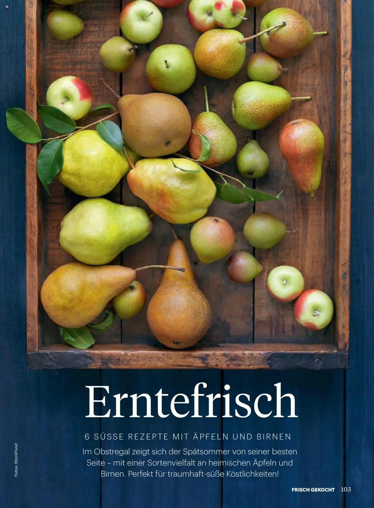 Billa Frisch Gekocht gültig ab 01.09.2025 | Seite: 101
