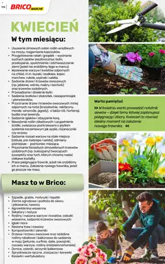 Pogląd oferty "Brico Marché gazetka - Wiosna" - ważna od 04.03.2026 | Strona: 125 | Produkty: Maliny, Ziemia ogrodowa, Kalarepa, Nasiona