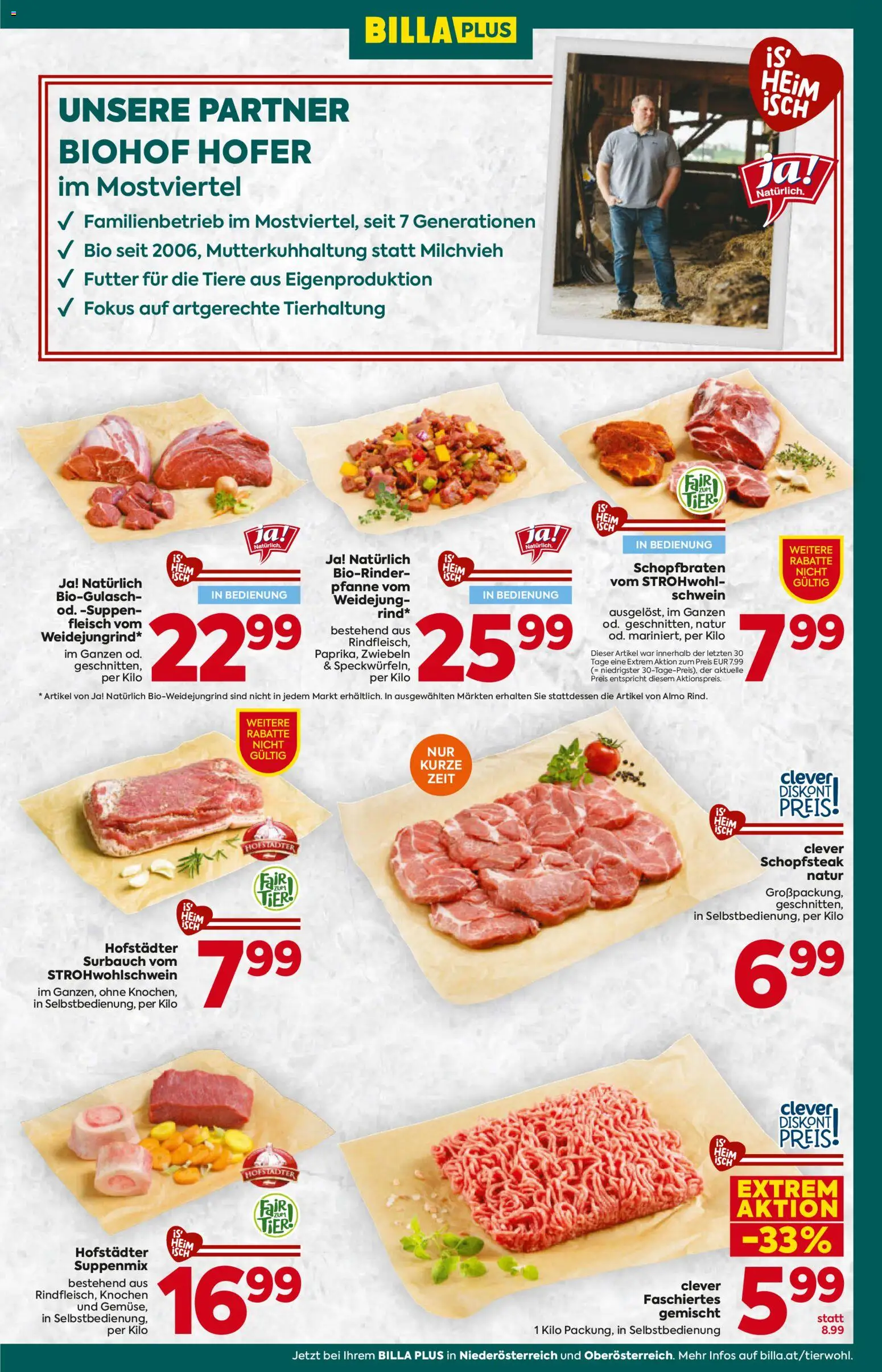Billa Plus Flugblatt - Oberösterreich gültig ab 22.01.2026 | Seite: 11