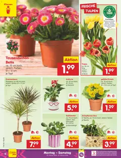Netto Marken-Discount Prospekt 	 ab 02.02.2026 gültig | Seite: 6 | Produkte: Tasche
