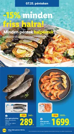 Lidl akciós ujság - amely érvényes a következő dátumtól: 24.07.2025 | Oldal: 28