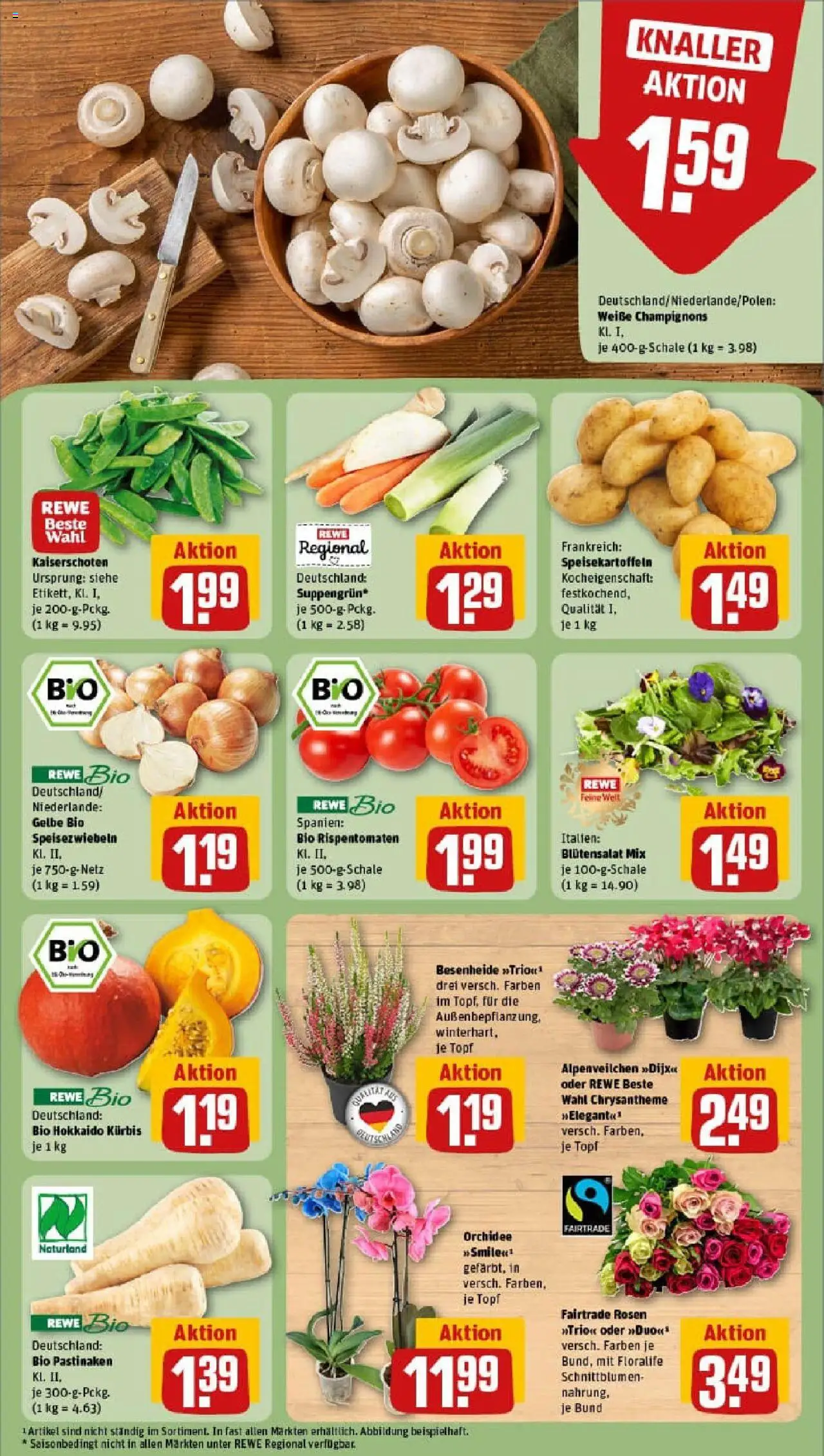 Rewe prospekt Hagen	 – gültig ab 28.09.2025 | Seite: 5 | Produkte: Orchidee, Champignons, Kürbis