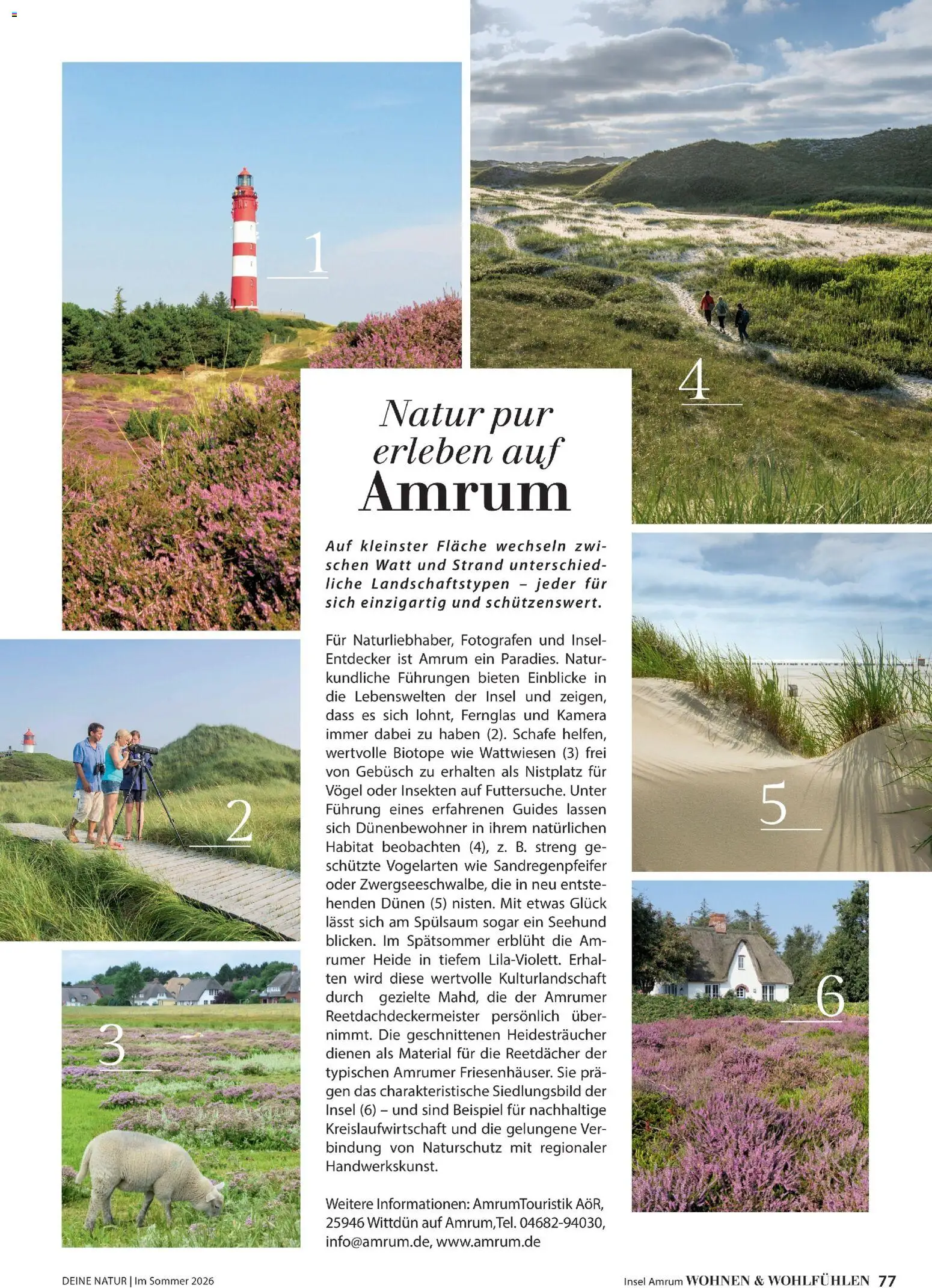 Dehner Prospekt 	 – gültig ab 17.04.2026 | Seite: 77 | Produkte: Kamera