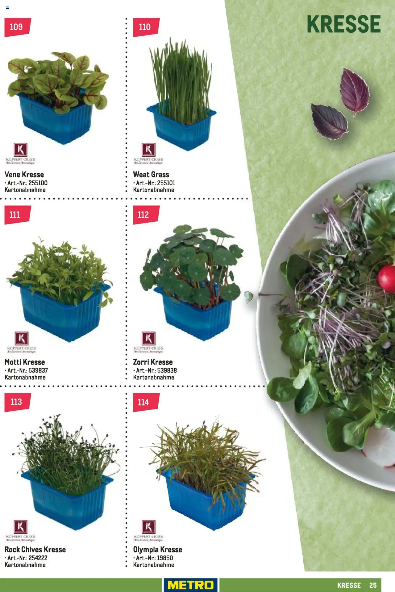 Metro Schnittwaren Spezial – gültig ab 04.02.2025 | Seite: 25 | Produkte: Rock