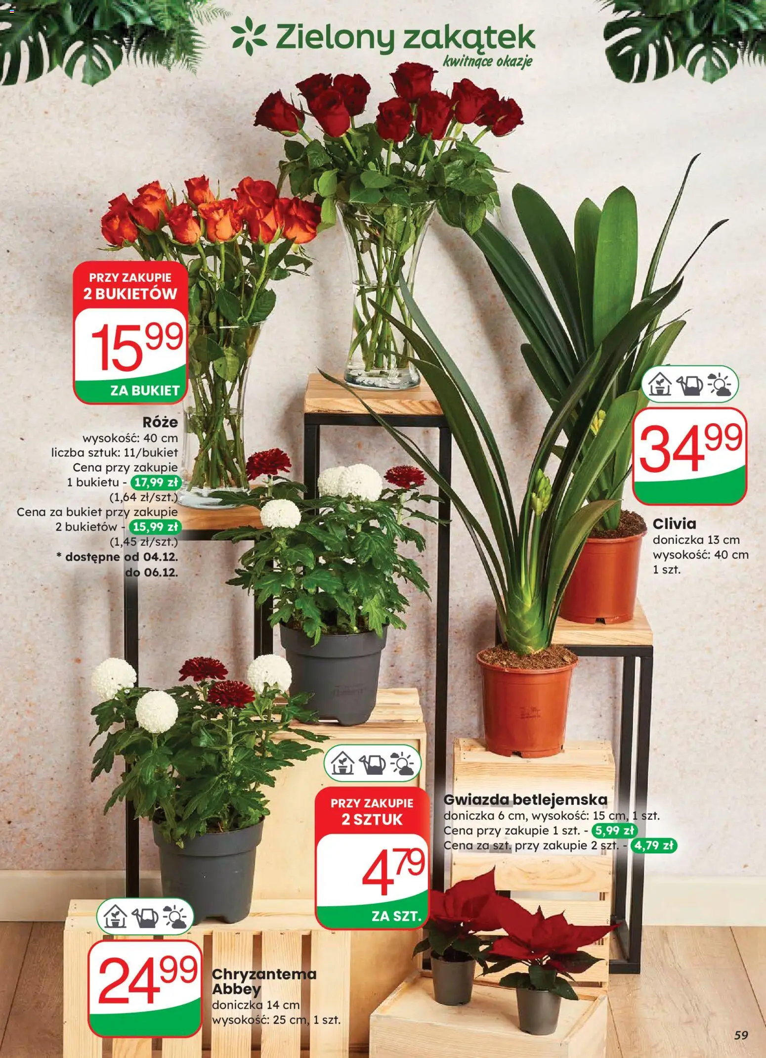 Dino Gazetka od 03.12.2025 | Strona: 59