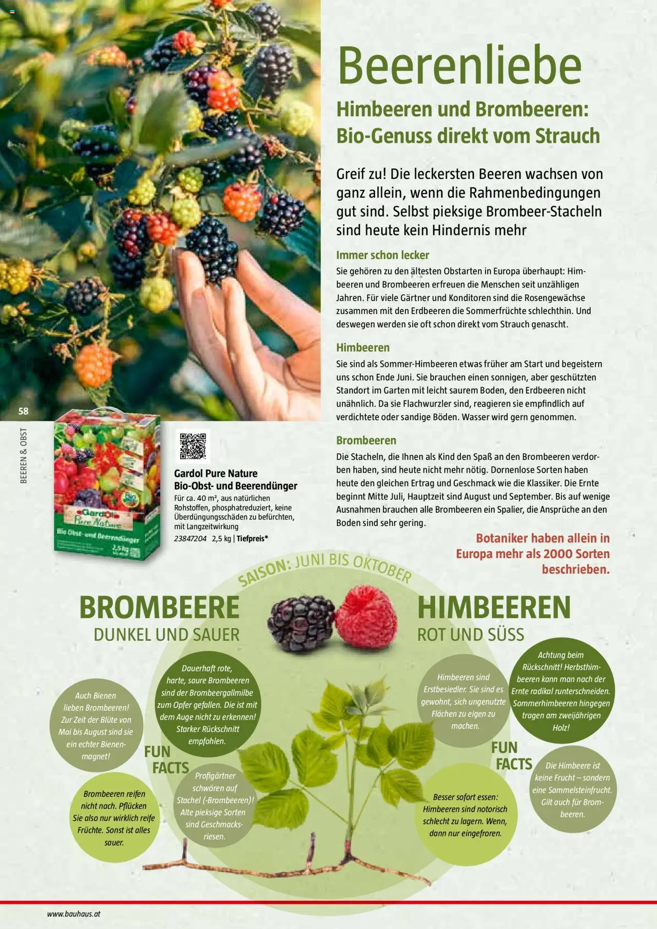 Bauhaus Reiche Ernte Magazin 2025 gültig ab 01.07.2025 | Seite: 58 | Produkte: Erdbeeren, Wasser, Obst, Himbeere