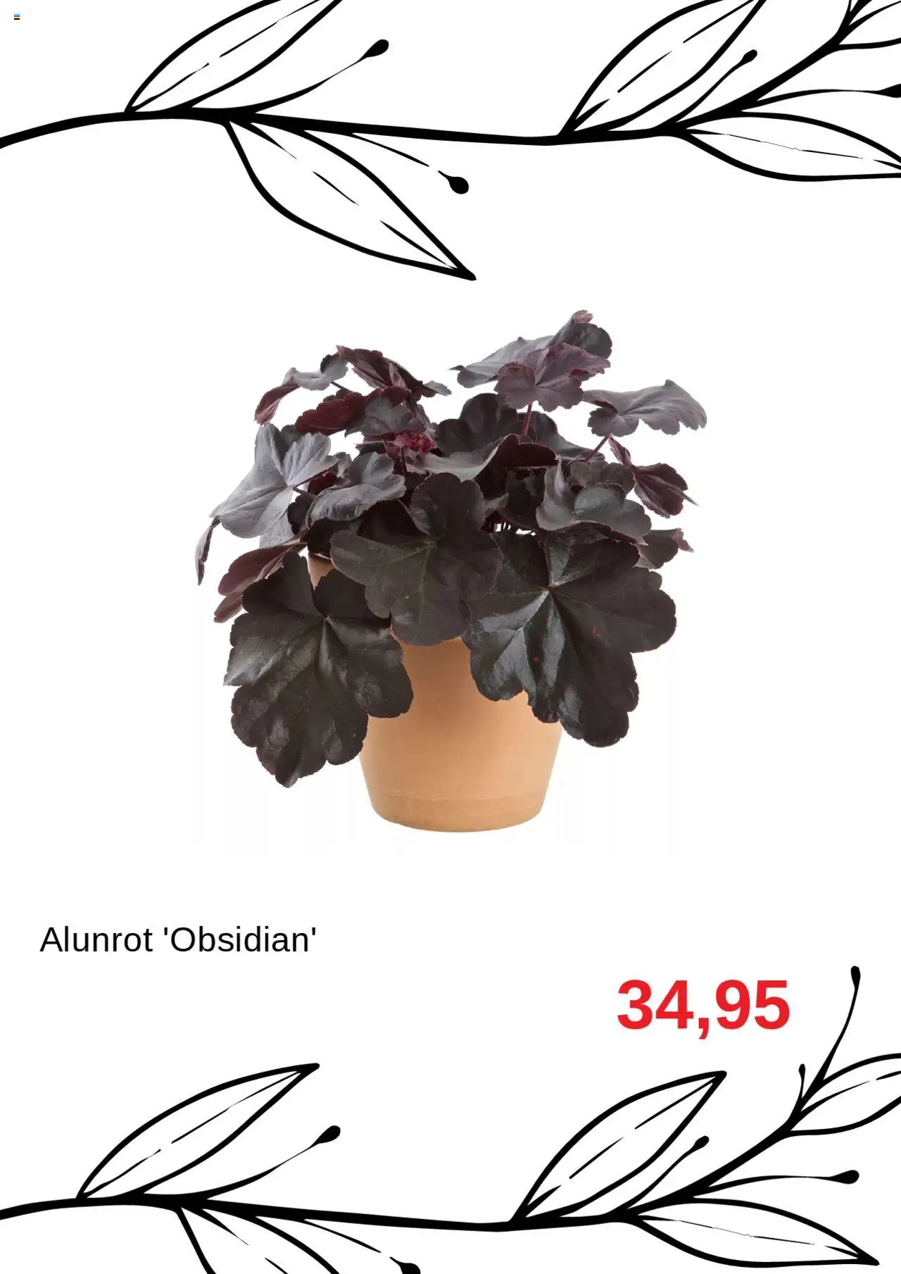 Blomsterlandet reklamblad aktuell från 01.10.2025 | Sida: 8