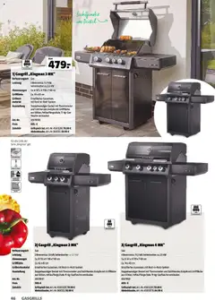 Hagebau Gartenkatalog 2025 ab 05.03.2025 gültig | Seite: 46 | Produkte: Grill, Thermometer