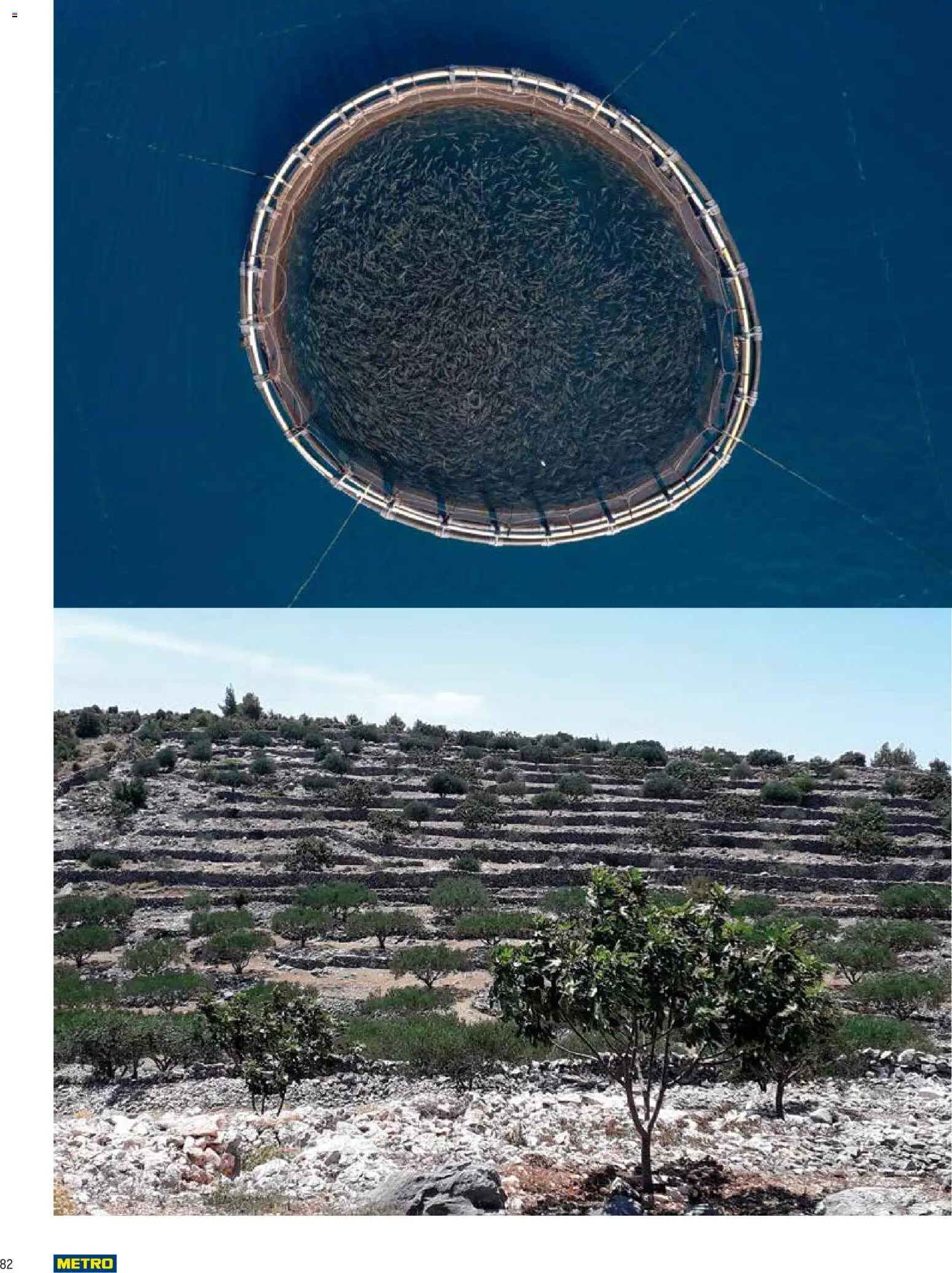 Metro katalog | vrijedi od 10.02.2026 | Stranica: 82