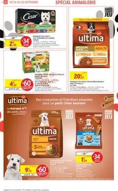  | Page: 42 | Produits: Agneau, Croquettes pour chien, Gelée