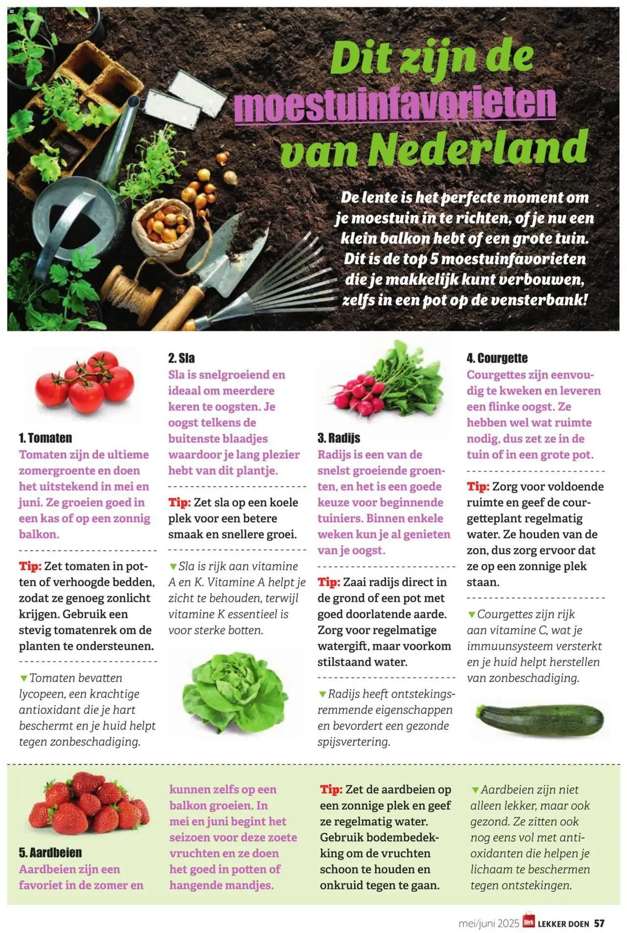  | Pagina: 57 | Producten: Sla, Courgette, Tomaten, Pot