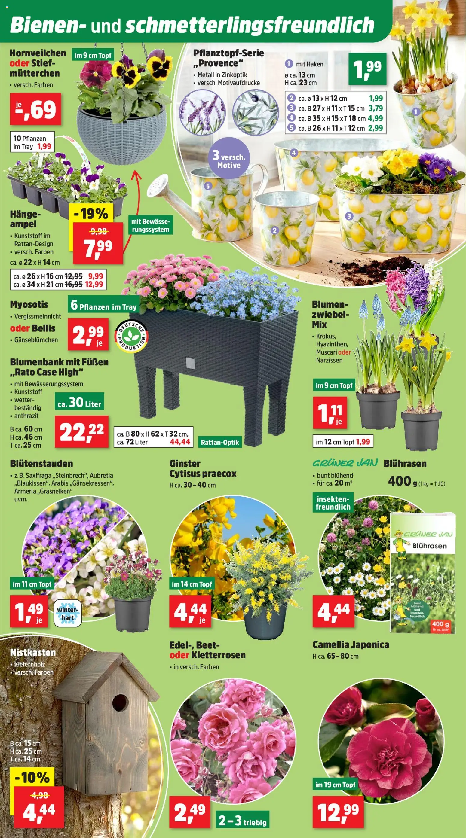 Thomas Philipps Prospekt – gültig ab 09.03.2026 | Seite: 4 | Produkte: Blumen