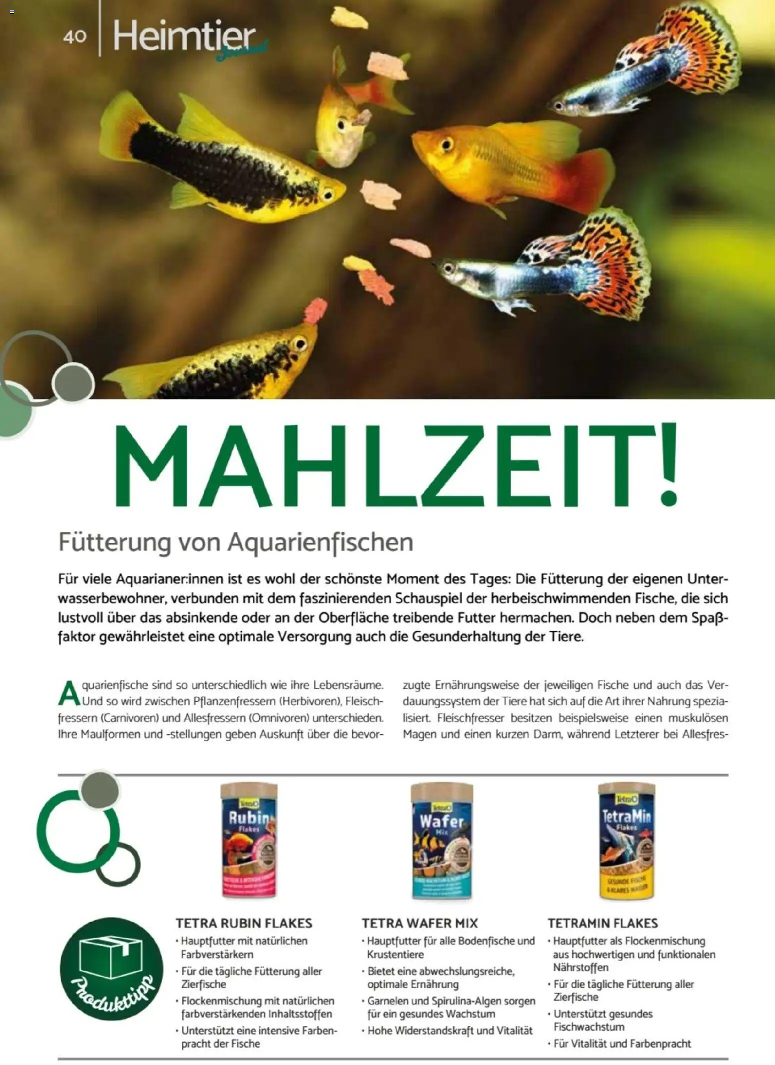 zookauf - Heimtier Journal – gültig ab 01.12.2025 | Seite: 40 | Produkte: Garnelen, Wasser, Fleisch