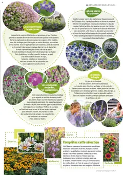  | Page: 7 | Produits: Lavande, Plantes, Géranium, Magazine
