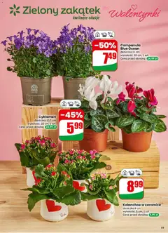 Pogląd oferty "Dino Gazetka" - ważna od 11.02.2026 | Strona: 19