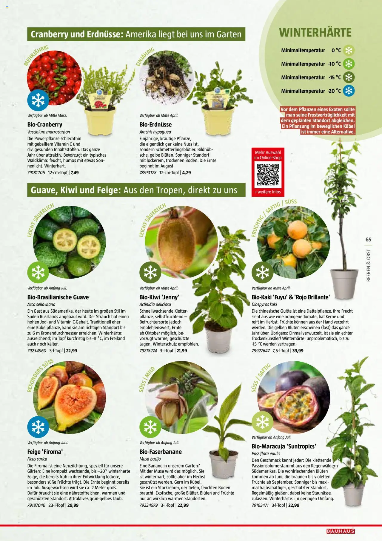 Bauhaus Reiche Ernte Magazin 2025 gültig ab 01.07.2025 | Seite: 65 | Produkte: Kiwi, Obst, Kaki, Папионка