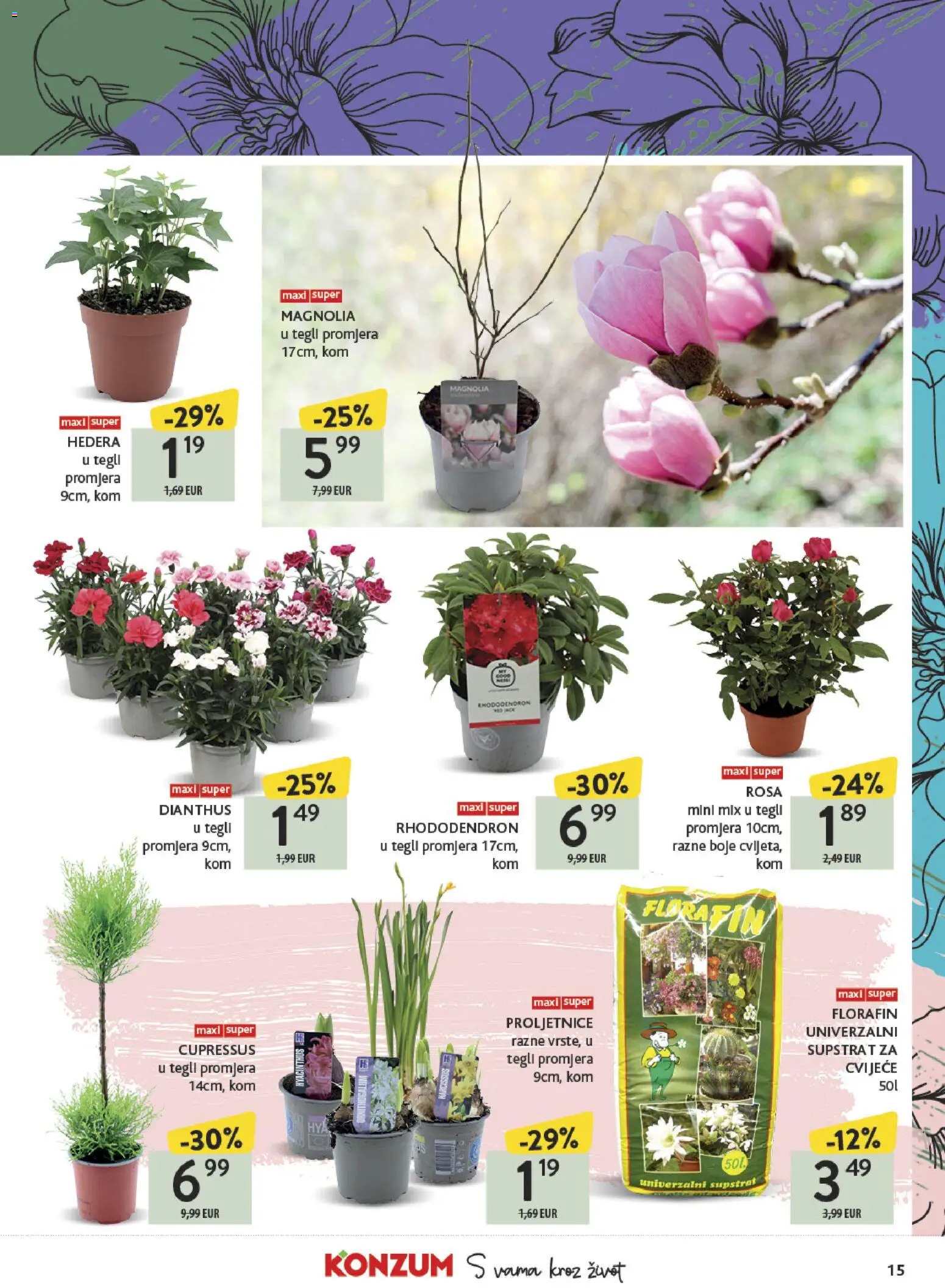 Konzum katalog | vrijedi od 23.03.2026 | Stranica: 15 | Proizvodi: Cvijeće