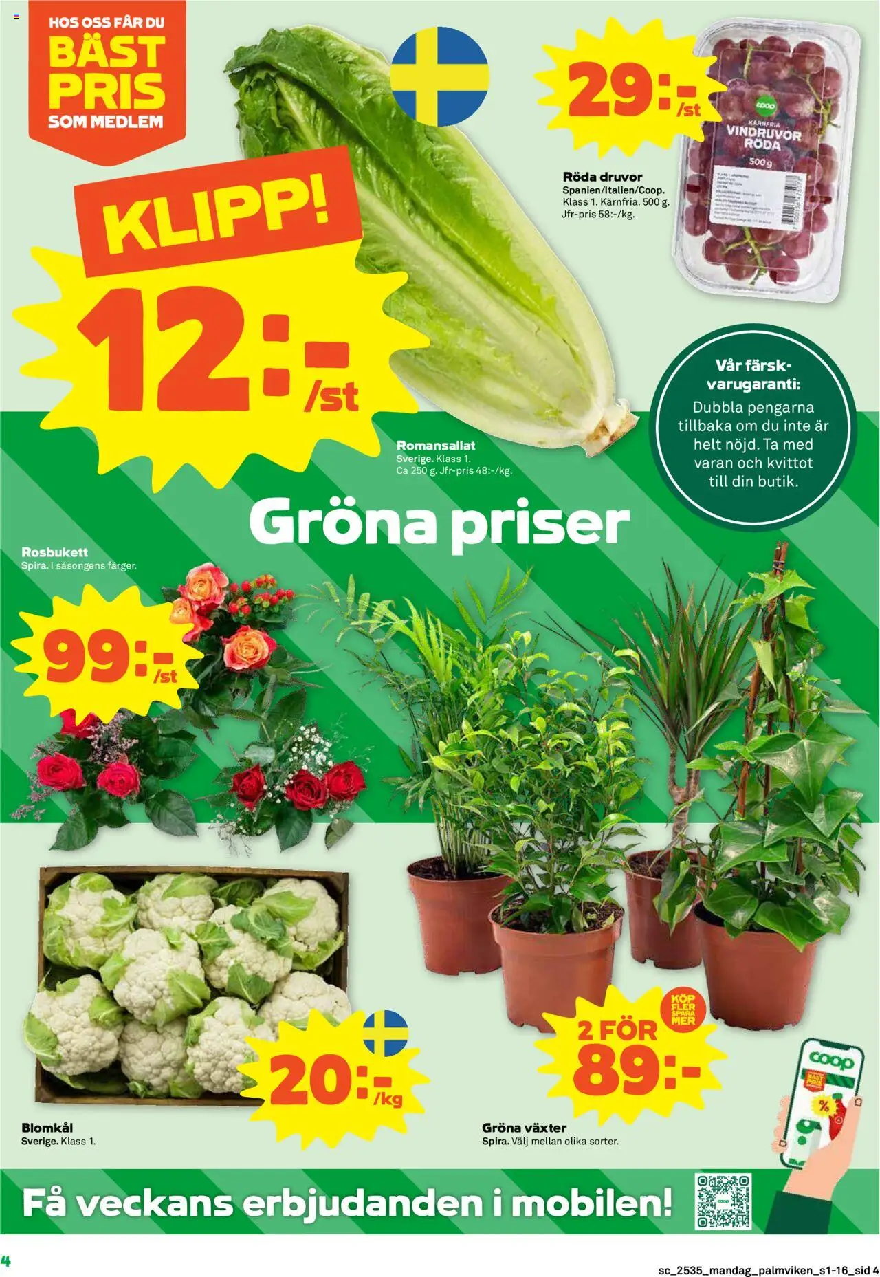 Stora Coop reklamblad aktuell från 25.08.2025 | Sida: 4 | Produkter: Vindruvor, Blomkål