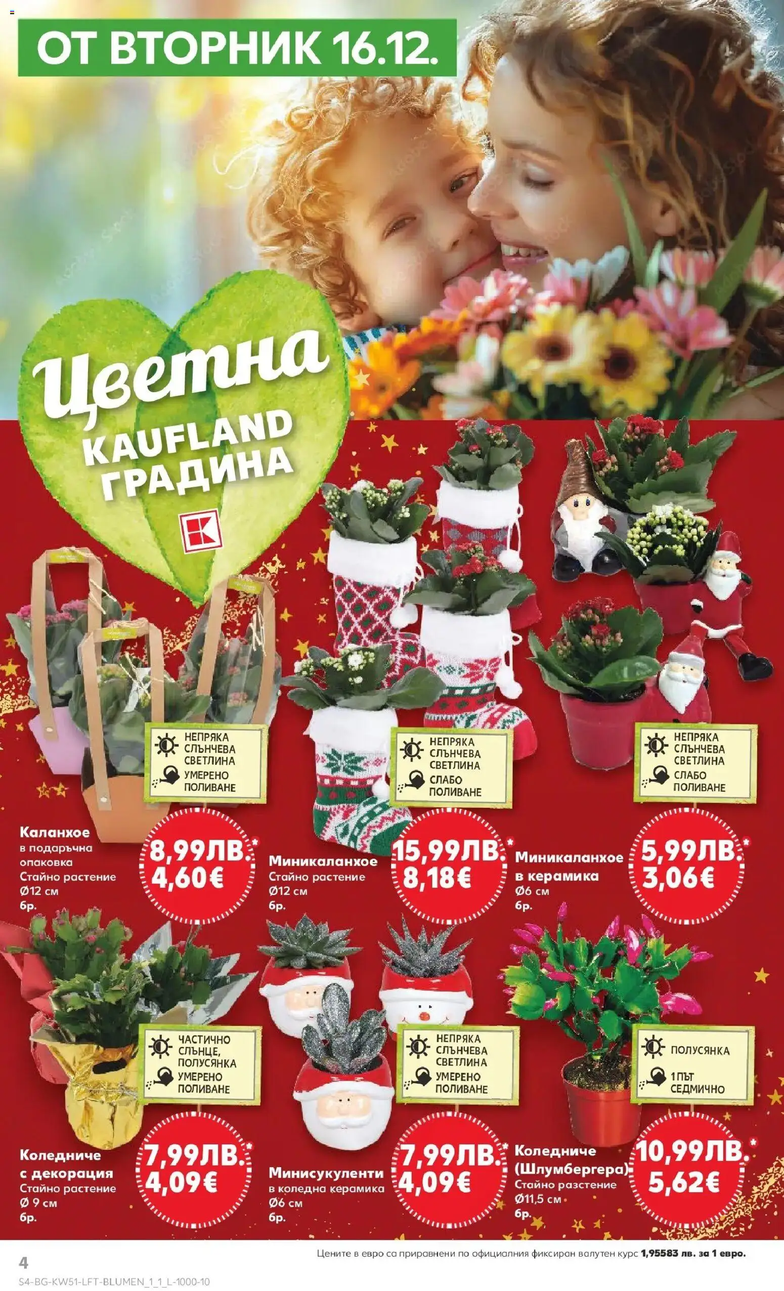 {H1} | Страница: 8 | Продукти: Декорация