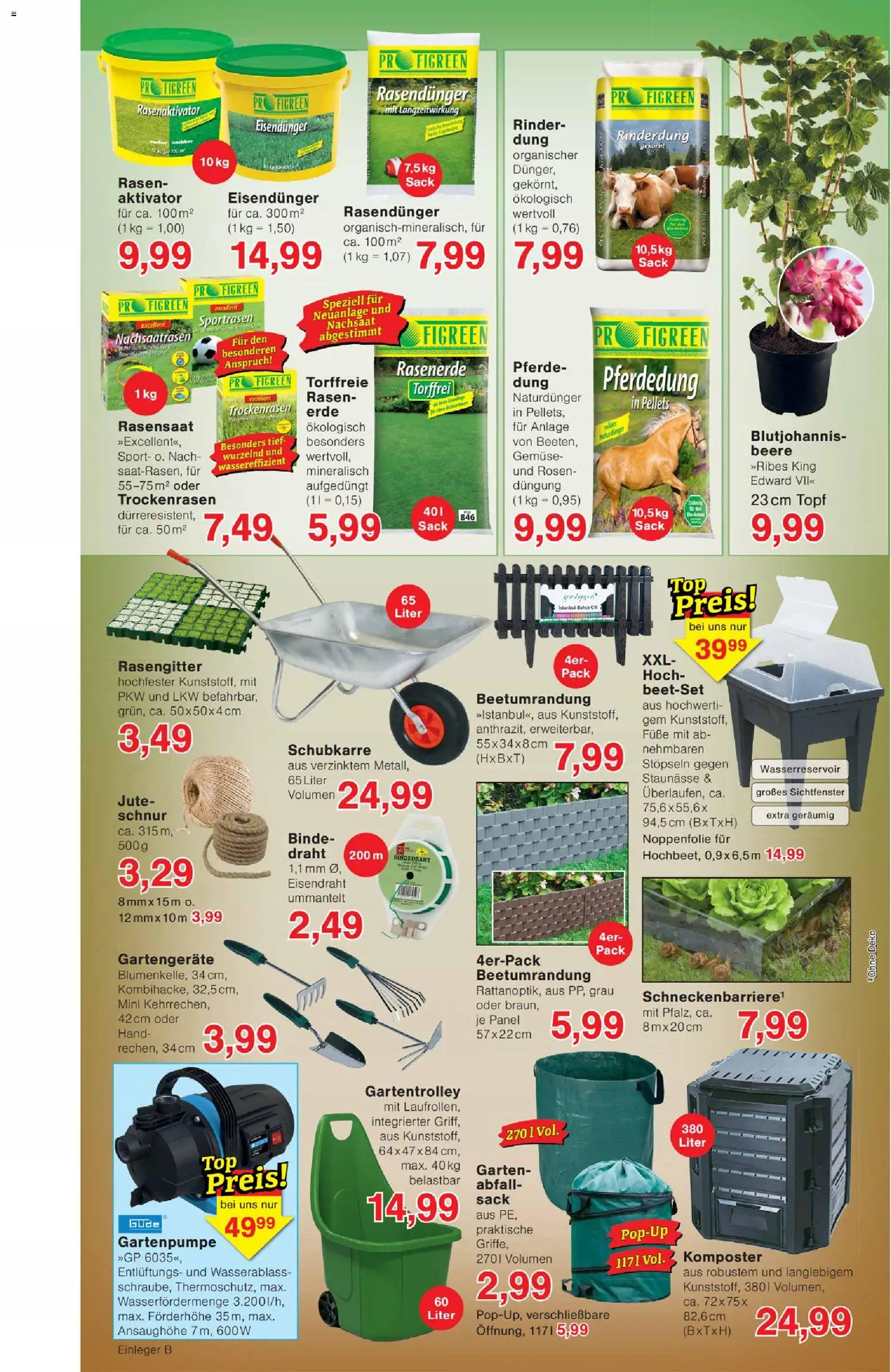 Wiglo Wunderland Prospekt 	 – gültig ab 20.04.2026 | Seite: 8 | Produkte: Gemüse