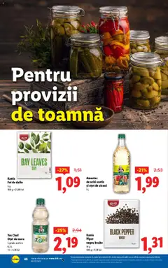 Noul catalog Lidl – valabil de la 08.09.2025 | Pagină: 48