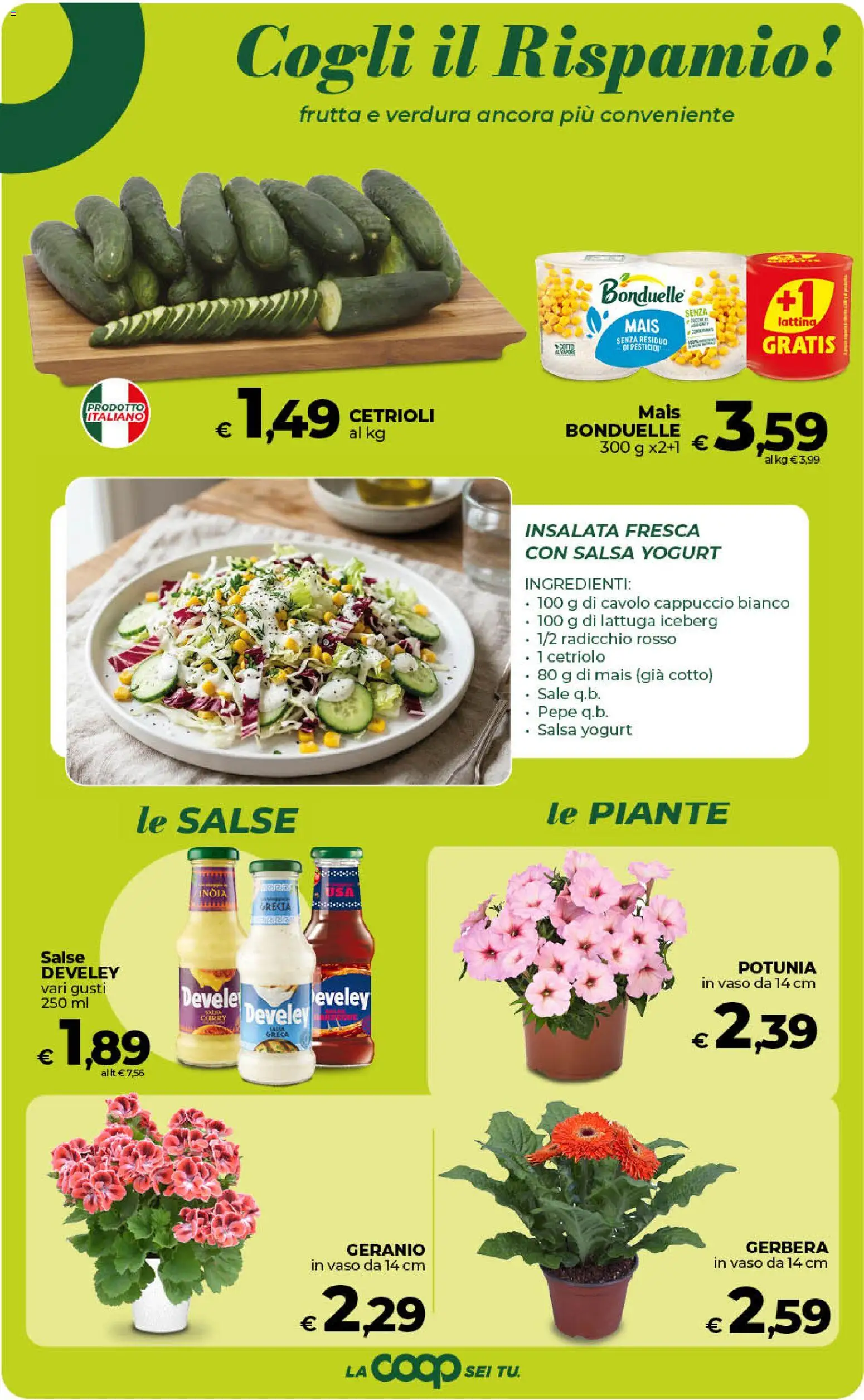 Volantino Ipercoop del 17.04.2026 | Pagina: 20 | Prodotti: Insalata, Cappuccio, Mais, Lattuga