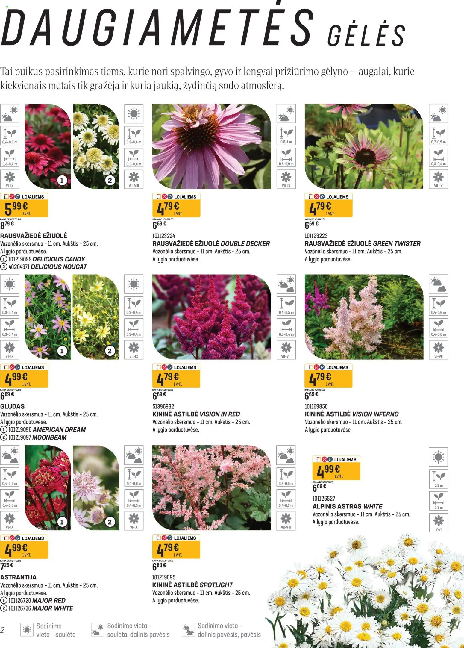 Senukai akcijos nuo 16.04.2026 | Puslapis: 2