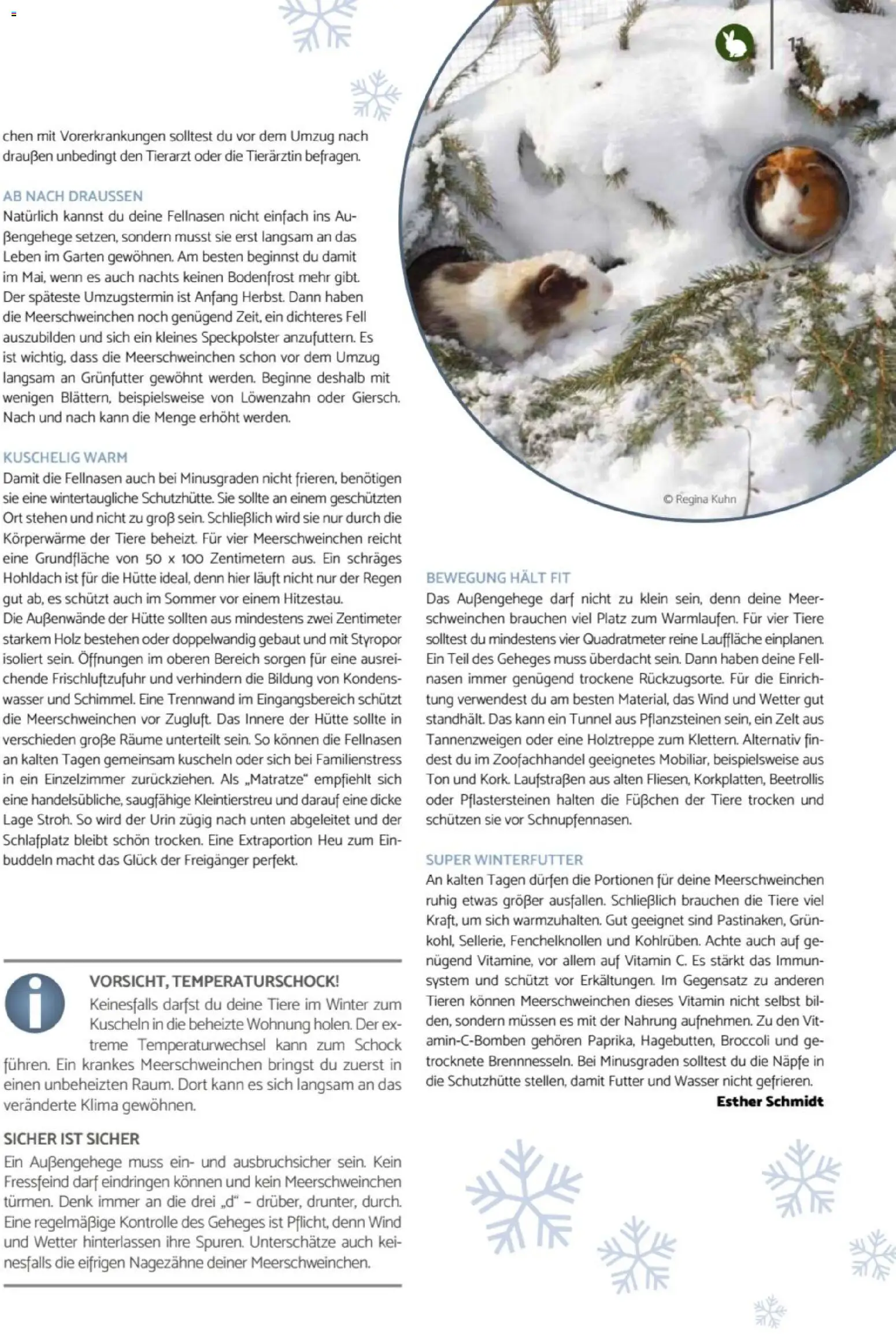 zookauf - Heimtier Journal – gültig ab 01.12.2025 | Seite: 11 | Produkte: Wasser