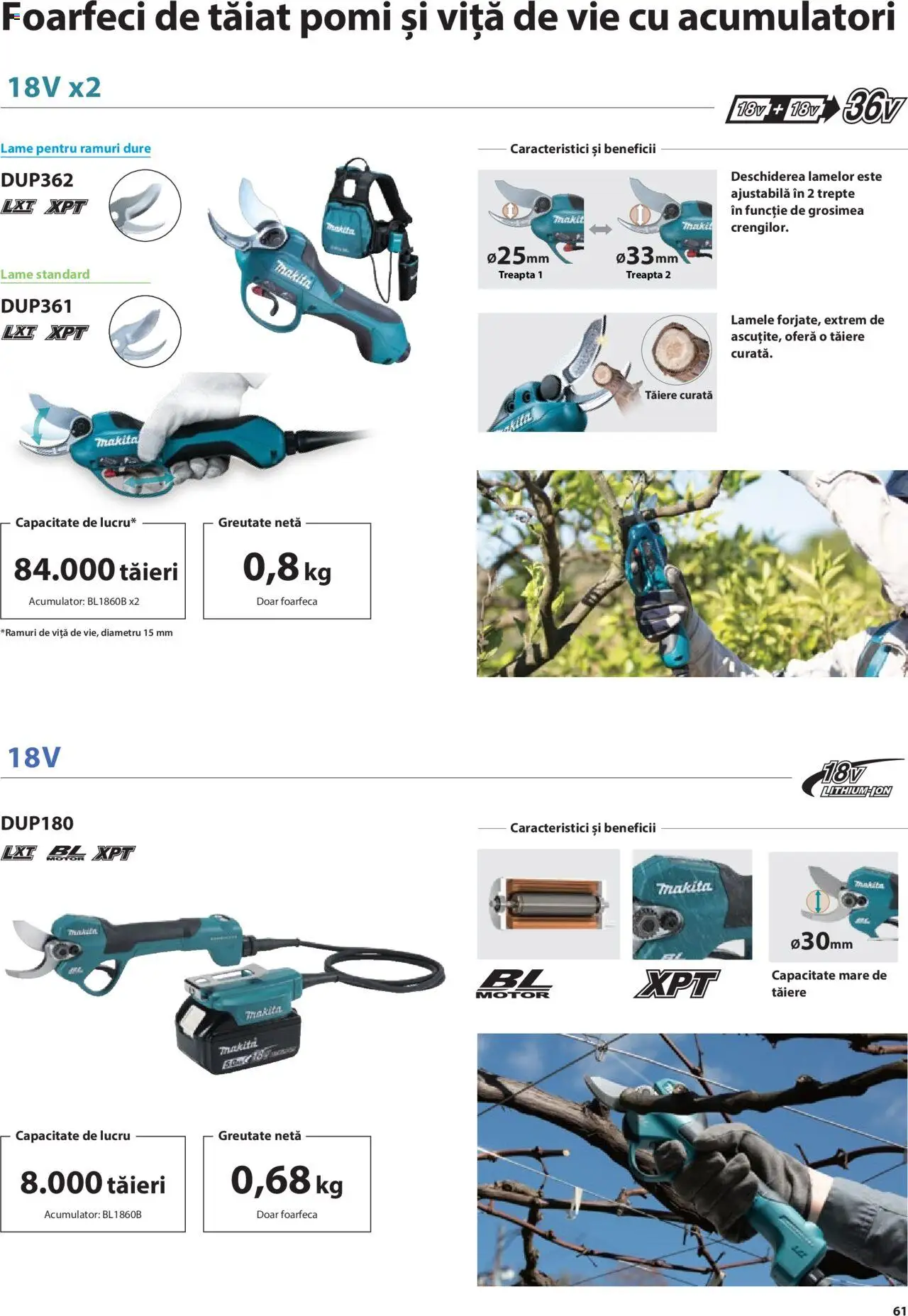 Makita catalog - Mașini de Grădină – valabil de la 08.01.2025 | Pagină: 61