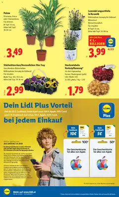 Lidl Flugblatt gültig ab 28.08.2025 | Seite: 26 | Produkte: Apple