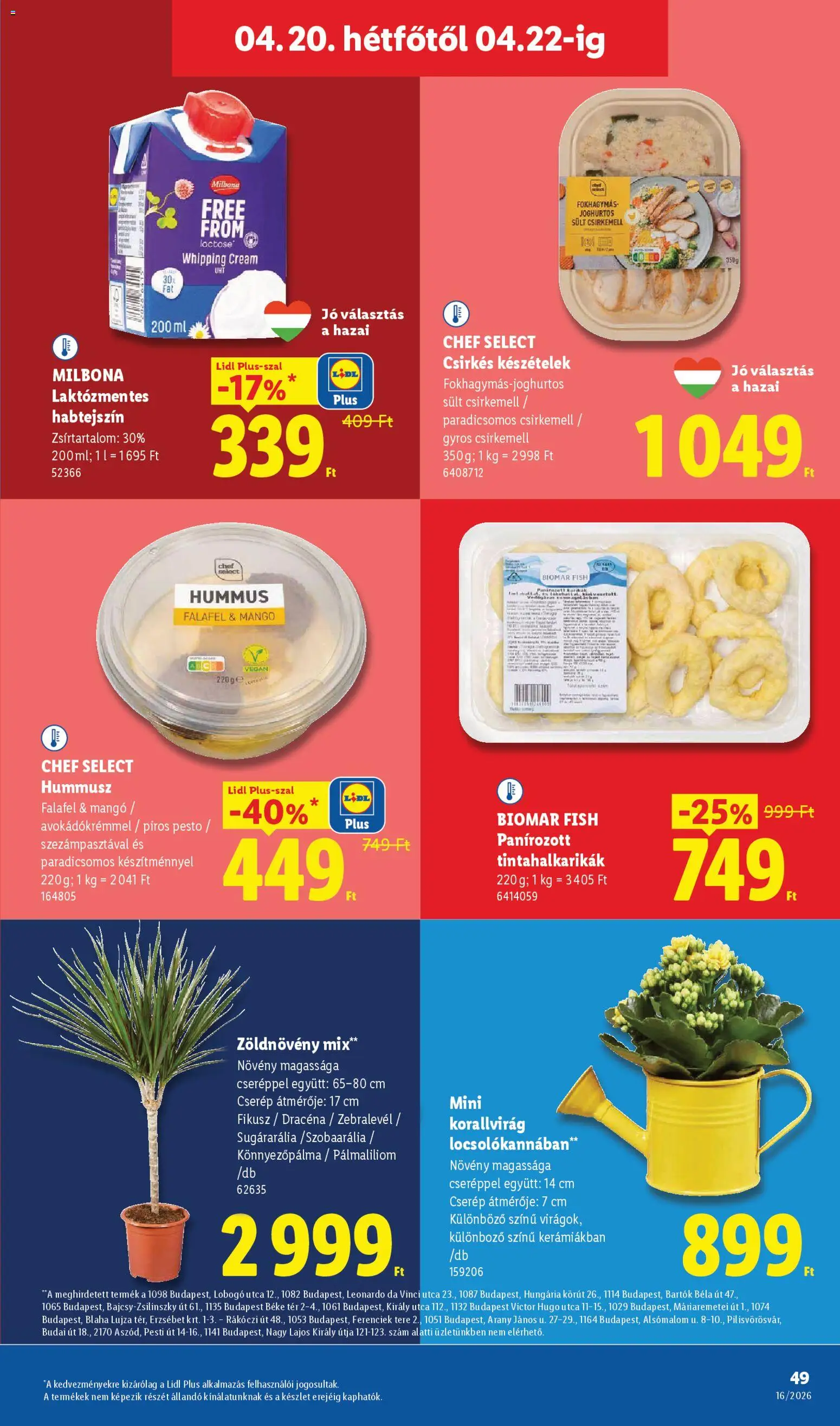 Lidl akciós ujság - amely érvényes a következő dátumtól: 16.04.2026 | Oldal: 49 | Termékek: Habtejszín, Készételek, Dracéna, Mangó